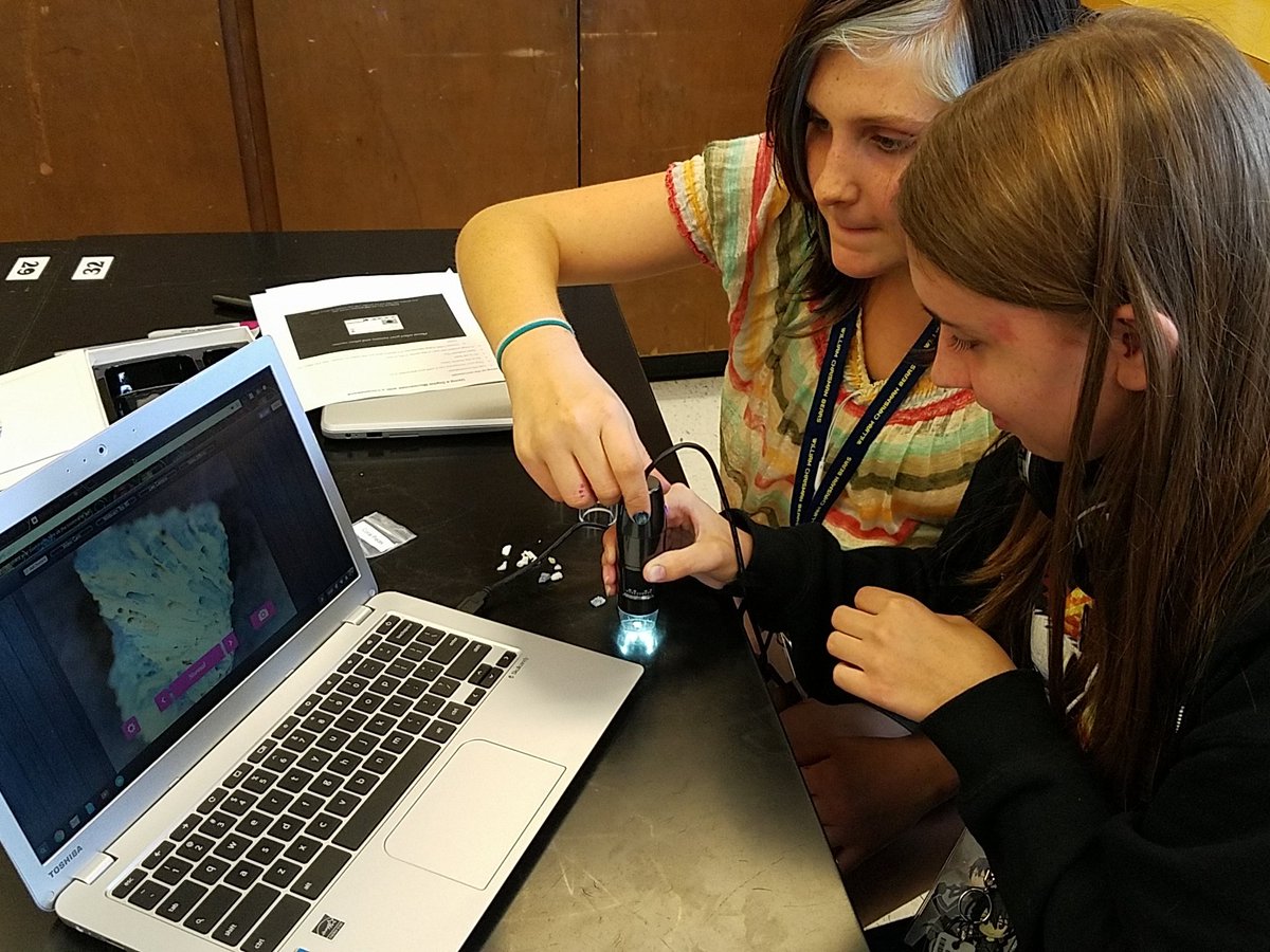 Morganarama's tweet image. Taking beautiful pictures of coral samples. &quot;Best picture ever!&quot; #microscopeart #beautifulbiology #isdstrong