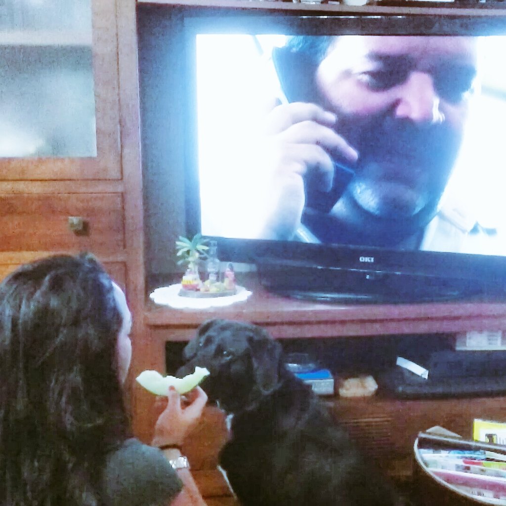 jeyandel's tweet photo. @vodafone_es #AColombiaConNarcos2 🔫 viendo el #Cap2X01 en #NETFLIX En un descuido #Kitty 🐶me comió el melón 🍈 😂❤ https://t.co/sDlJhAaf6A