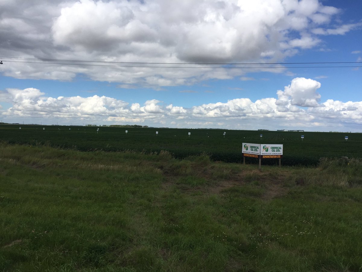 GJBManning's tweet image. Please Join us for our #plot16 tour tomorrow (sept 7) in Arnaud @10am. New variety info.#learnwhatsnew