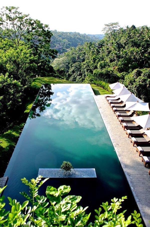 TikTonks's tweet image. Life goal: have an infinity pool in my back yard