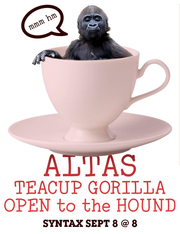 This is a gorilla inside a teacup, and @teacupgorilla is playing a show this Thur w/ <a href="/altasmusica/">ALTAS</a> &amp; <a href="/OpentotheHound/">Open to the Hound</a>.