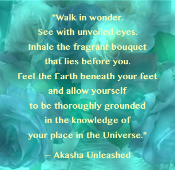 AkashaUnleashed's tweet photo. See the wonder and feel the joy. #AkashicWisdom 
#JoyTrain https://t.co/0qmW26f8Lr