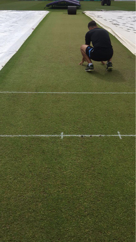 Good to see <a href="/Hoppo1664/">Carl Hopkinson</a> busy at work this morning #meow <a href="/lukewright204/">Luke Wright</a>