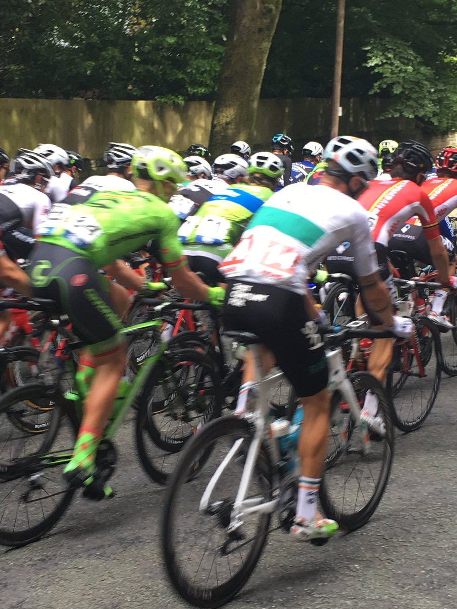 Lorrayne Siddall tweet media