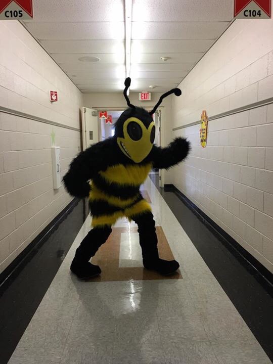 MrsAFortune's tweet photo. Welcome back Hess!!  Buzzzzzz!!!  @HessHornets https://t.co/FMrBIjq690