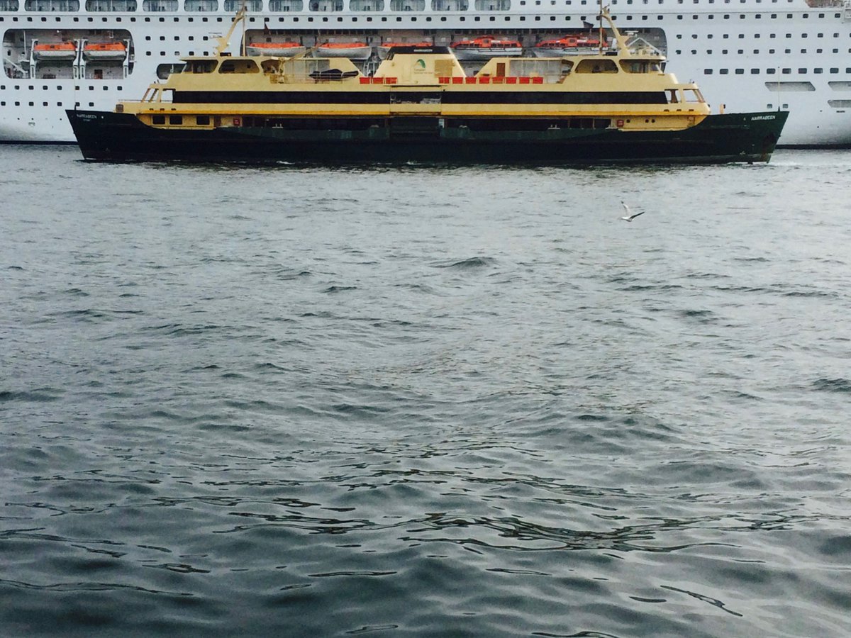 #SydneyOV Keolis runt de vele Sydney ferries. Essentieel, brug en tunnel zijn vol. Contract: geen andere kleuren.