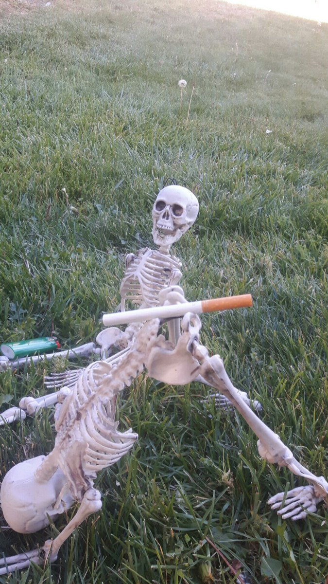 lilquickpuff's tweet image. 