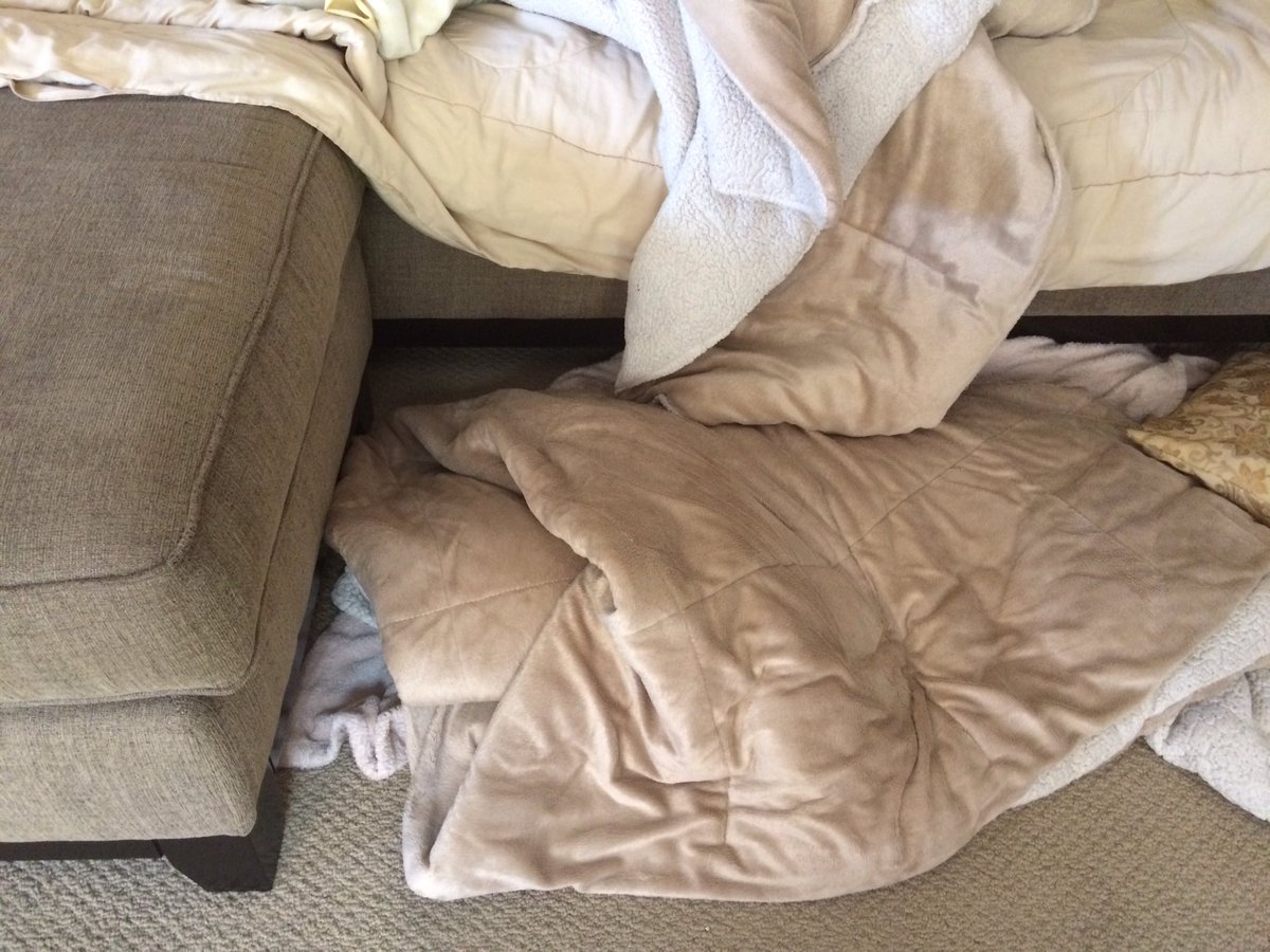 NacyMisa's tweet image. The disappointment of realizing someone left a blanket RIGHT in your way so you can&apos;t stretch. #DisabledProblems