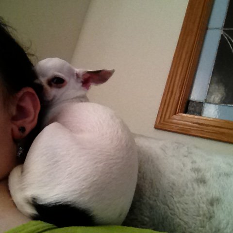 GrohsJennifer's tweet image. Angels favorite spot