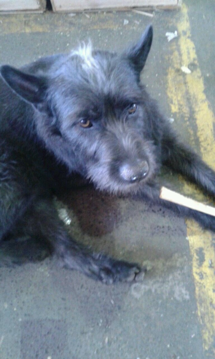 I'm at Sanduíches do Christian w/ <a href="/lucienee21/">Lusantana.</a> <a href="/lucashlous/">Tim Beta</a> @lucashslm <a href="/sandrab06318387/">Sandra TIM#BETA</a> swarmapp.com/c/9tnIuzKUksE