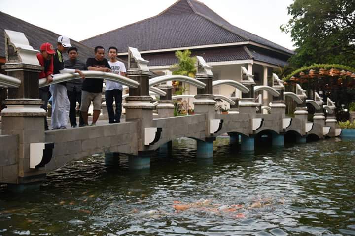 Mari segarkan pikiran dengan melihat ikan, bukan dengan mengingat mantan.*kolam Pancawarna, Pendopo Purwakarta*