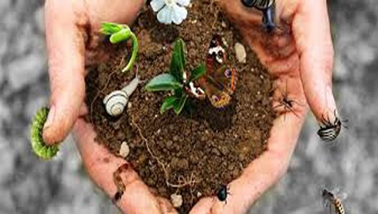 Quasi pronti ad invadere #Torino Almost ready to invade #Turin
#TerraMadre #salonedelgusto 
bookingpiemonte.it/evento/terra-m…