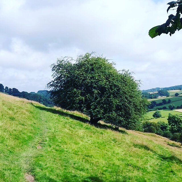 sportsolutionUK's tweet photo. Happy National Fitness Day! Morning run for me! #fitness #running #ukactive #gym #sportsolutionUK https://t.co/rfXeEYenYX