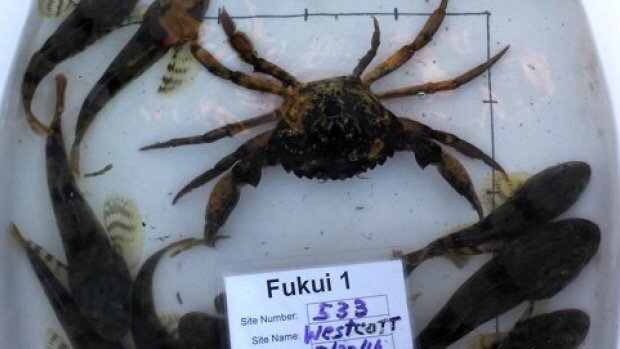 Brett Howard tweet media