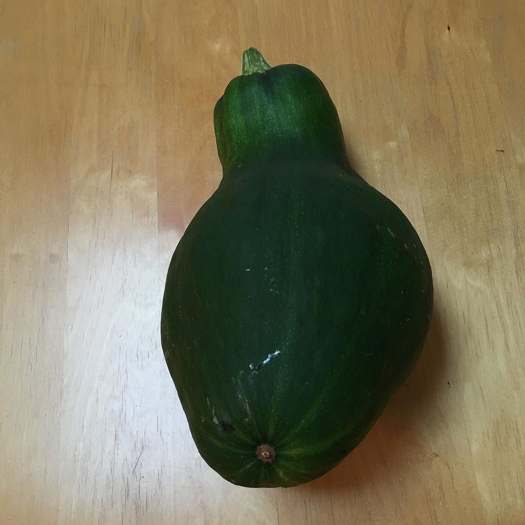 CallUsNotThem's tweet photo. What to do with a 2kg climbing squash? #squash #recipes #vegetables #vegetarian @permaculture_uk @permaculturemagaz… https://t.co/umEa3UQfKt