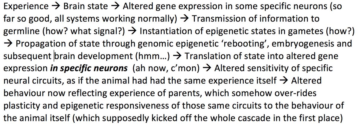 For transgenerational epigenetic transmission of behaviour to occur in mammals, here's what would have to happen: