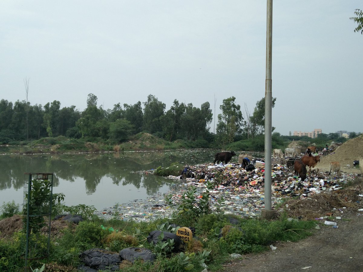 narinder_mohan's tweet photo. @nitin_gadkari @yadavakhilesh @MVenkaiahNaidu systematic method to convert lake into garbage dump in sec 137, Noida https://t.co/xjGmViOjxl