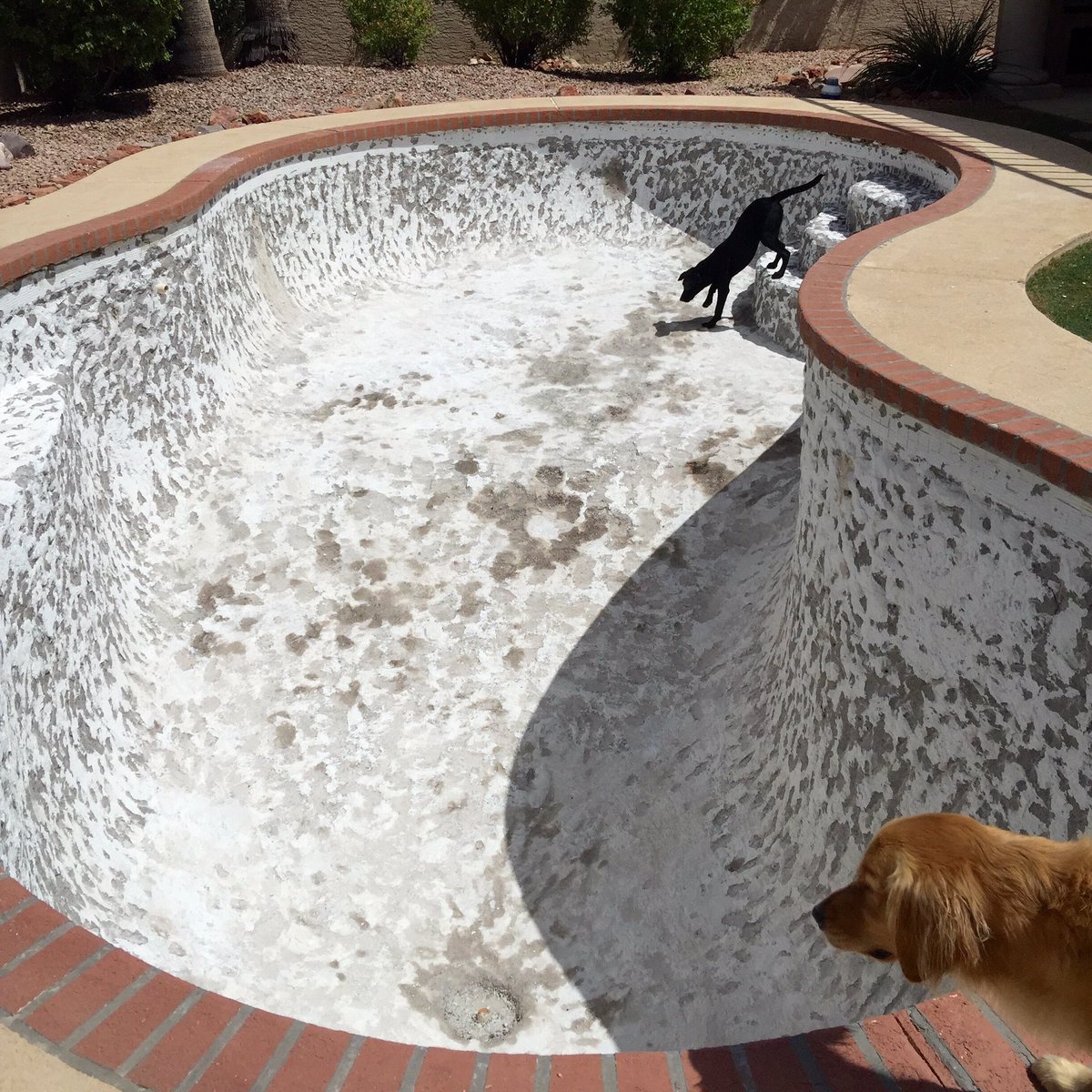 gailmccauley502's tweet photo. #TransformationTuesday Day 2 #poolredo #PoolDemoDay #poolremodel #homeimprovement #construction #ArizonaFixer https://t.co/xgWdS9msvx