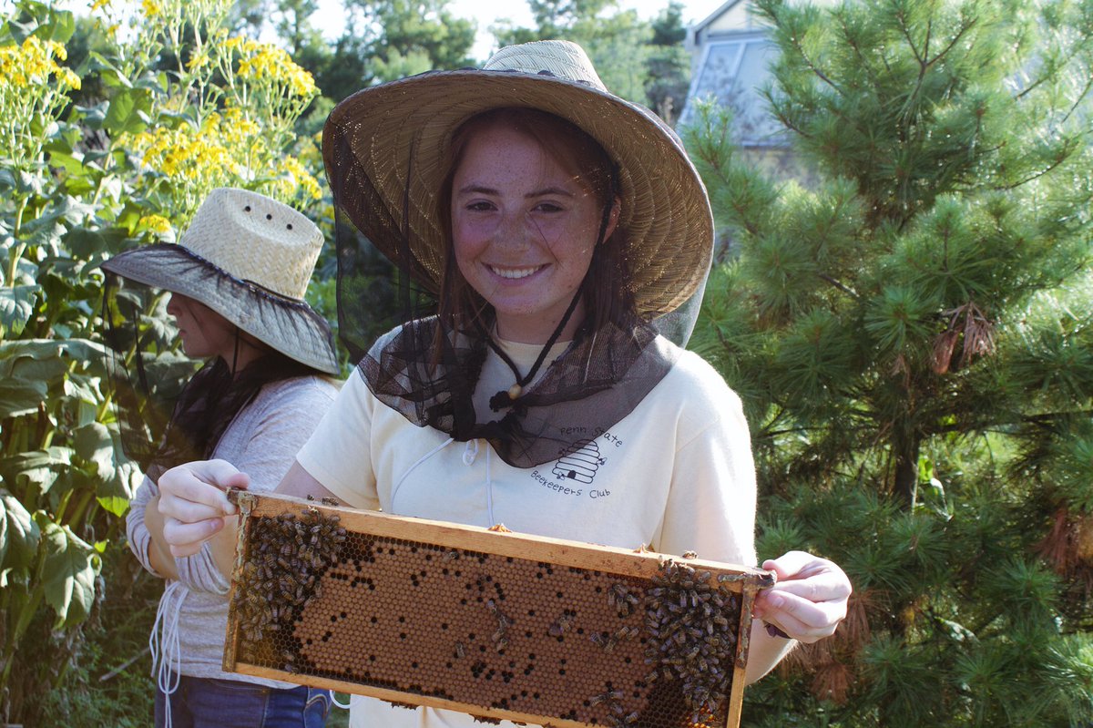 PSU Beekeepers Club tweet media