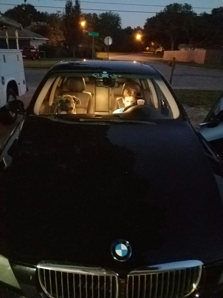 rsfoster's tweet photo. I see you rollin,..ridin dirty! #vidrive #BMW #335i #myboyandhisdog #rolling #ambitious #puppy https://t.co/XkIPCuIeI0