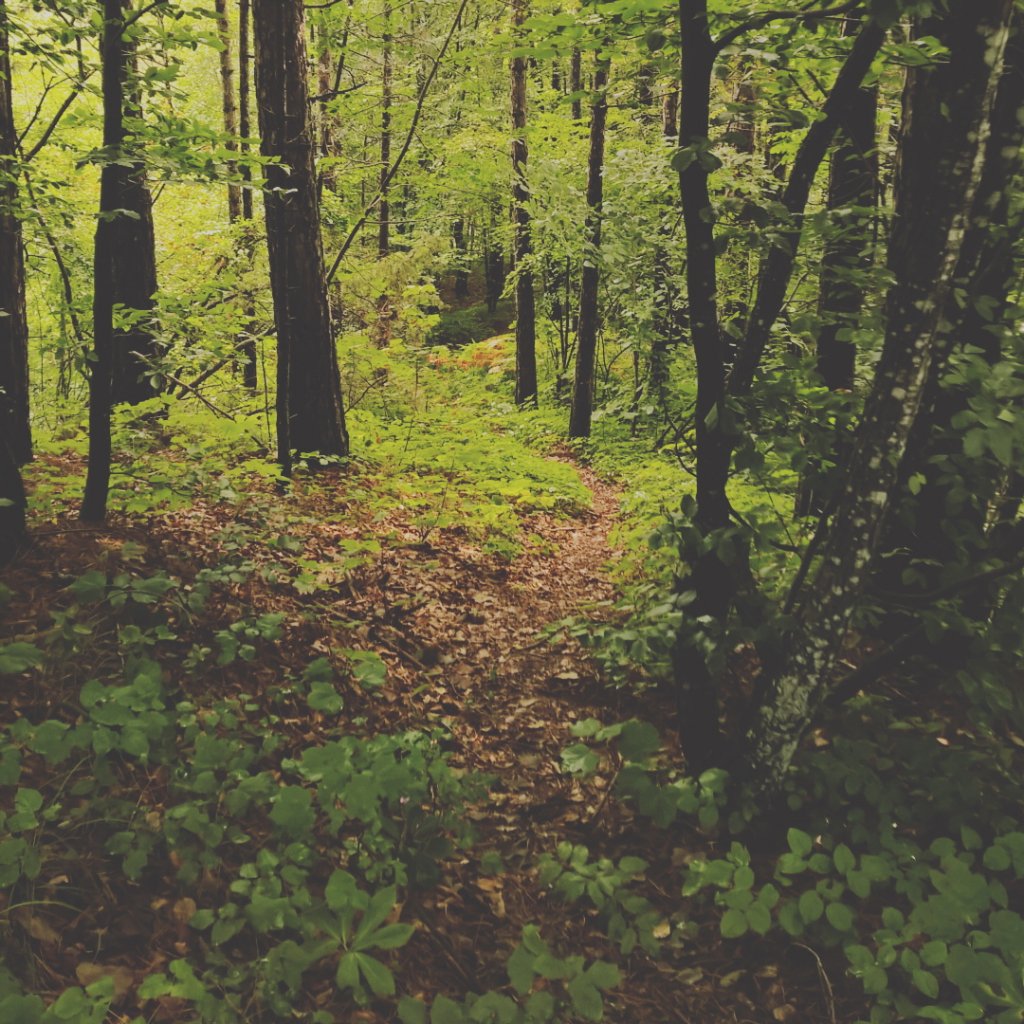 zumberak_sg's tweet photo. Hiking on Scout - Zečak trail. Just 30 min from A3 Samobor exit. Discover #Žumberak #Samoborskogorje #NaturePark https://t.co/FsbzO4262h
