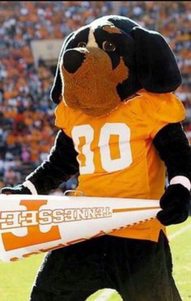 paulbainVols's tweet photo. Hey @UTSmokey_00 help get the word out #BringBackGus - sometimes change is good. Not in the case of Gus. #GBO https://t.co/WmMEK5t90Q