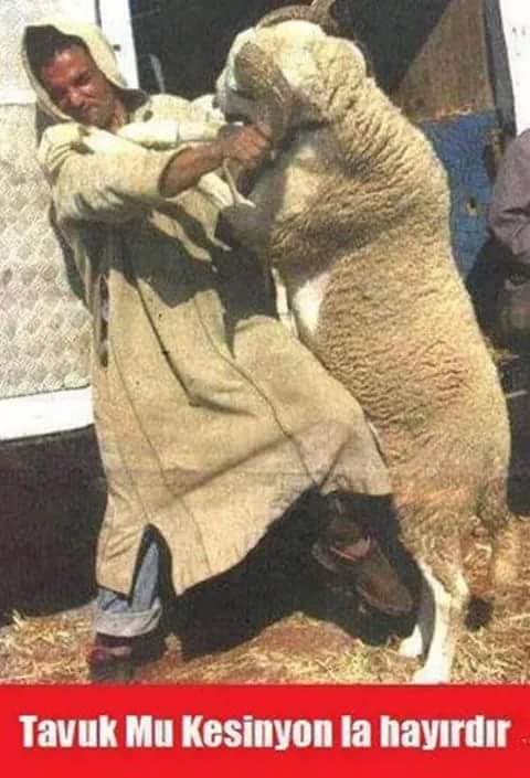 Kimimbenim's tweet photo. Kurban pazarında gergin saatler.. https://t.co/Oz62pO0eEI
