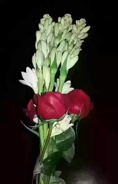 FriendMorning's tweet photo. Good morning all https://t.co/oxRfzSnvTc