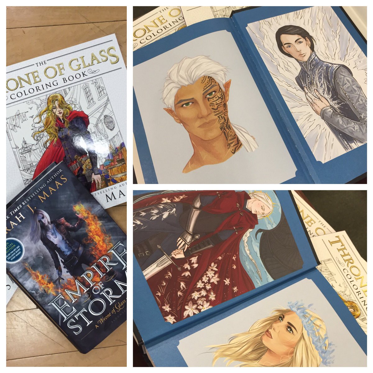 BNCoralRidge's tweet photo. Beautiful end papers in the #BNExclusiveEdition of #EMPIREofSTORMS &amp; the #ThroneOfGlass coloring book! #BNMidwest https://t.co/hw4L27jLis