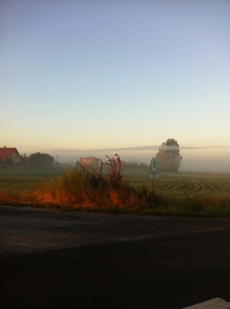 kociu91's tweet image. Jakaś dziwna ta dzisiejsza mgła... #Smoleńsk #masoni #iluminaci #spisek