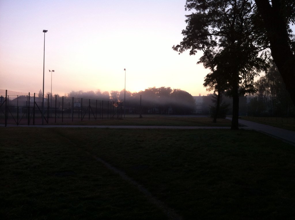 kociu91's tweet image. Jakaś dziwna ta dzisiejsza mgła... #Smoleńsk #masoni #iluminaci #spisek