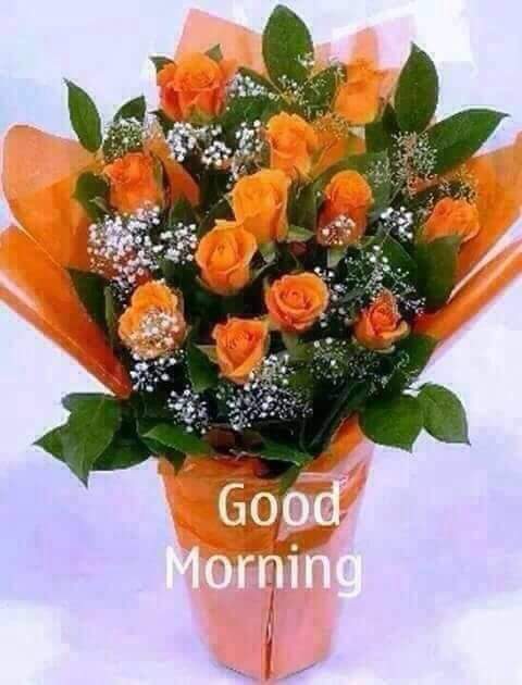 gurjerdsp's tweet photo. Rajasthan PCC President Sachin Pilot Ji ko janmdin ki hardik subhkamnaye https://t.co/b0IjpuEfMM