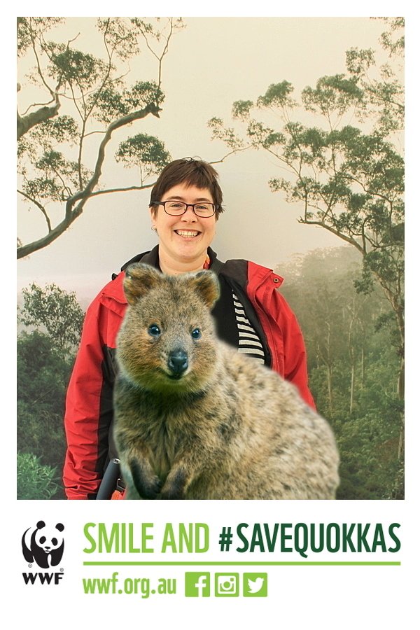 madradish's tweet photo. A cute quokka selfie thanks to WWF #SaveQuokkas https://t.co/GEzai0CYUD