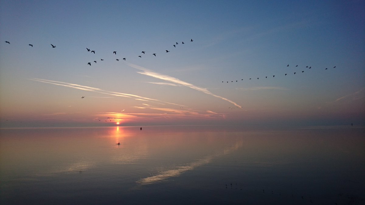 #goeiemorgen!!  Heerlijk zo aan de #Grevelingen