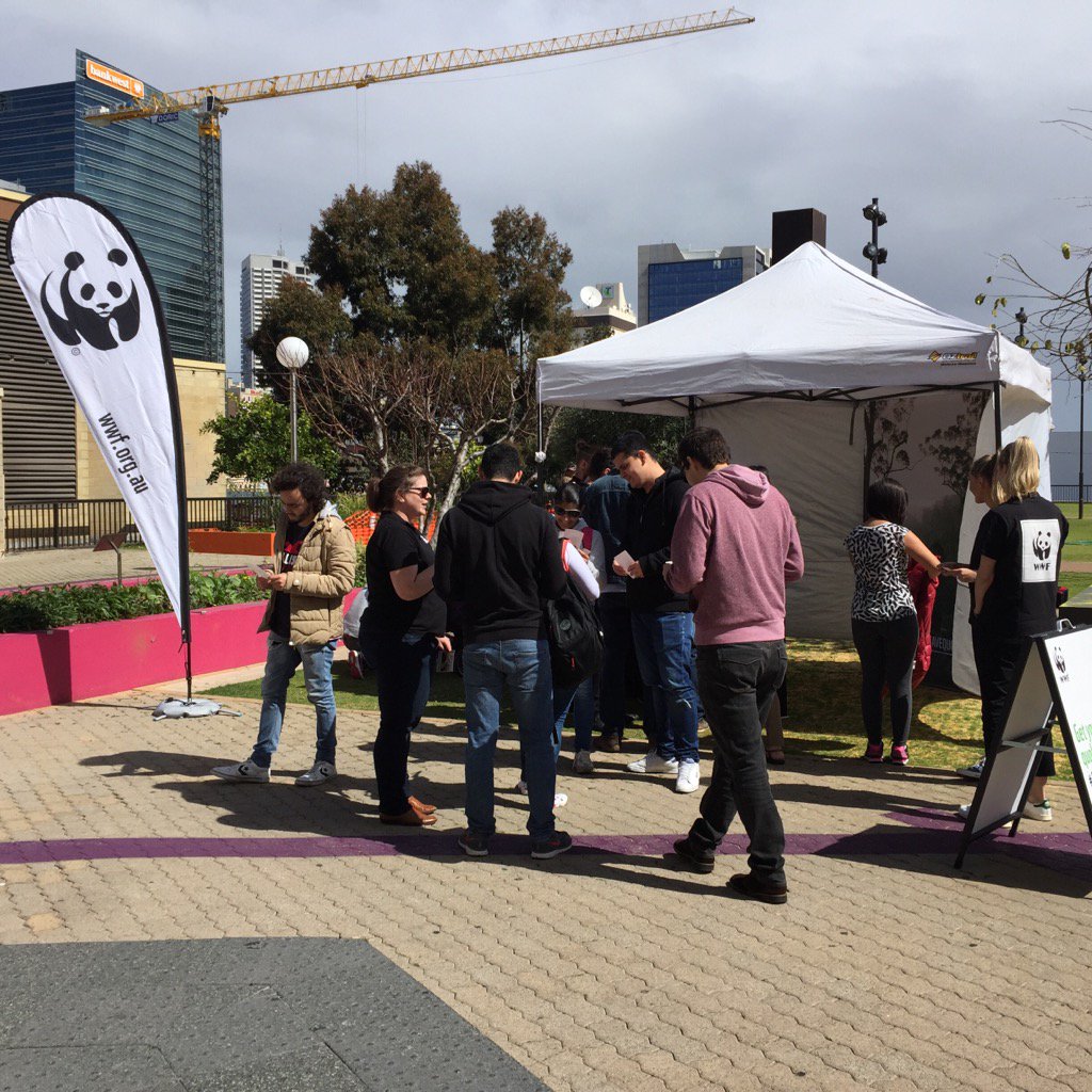 MerrilHalley's tweet photo. #savequokkas quokka selfie booth urban orchard Perth until 4.30pm @WWF_Australia on national threatened species day https://t.co/5HcymvlkEa
