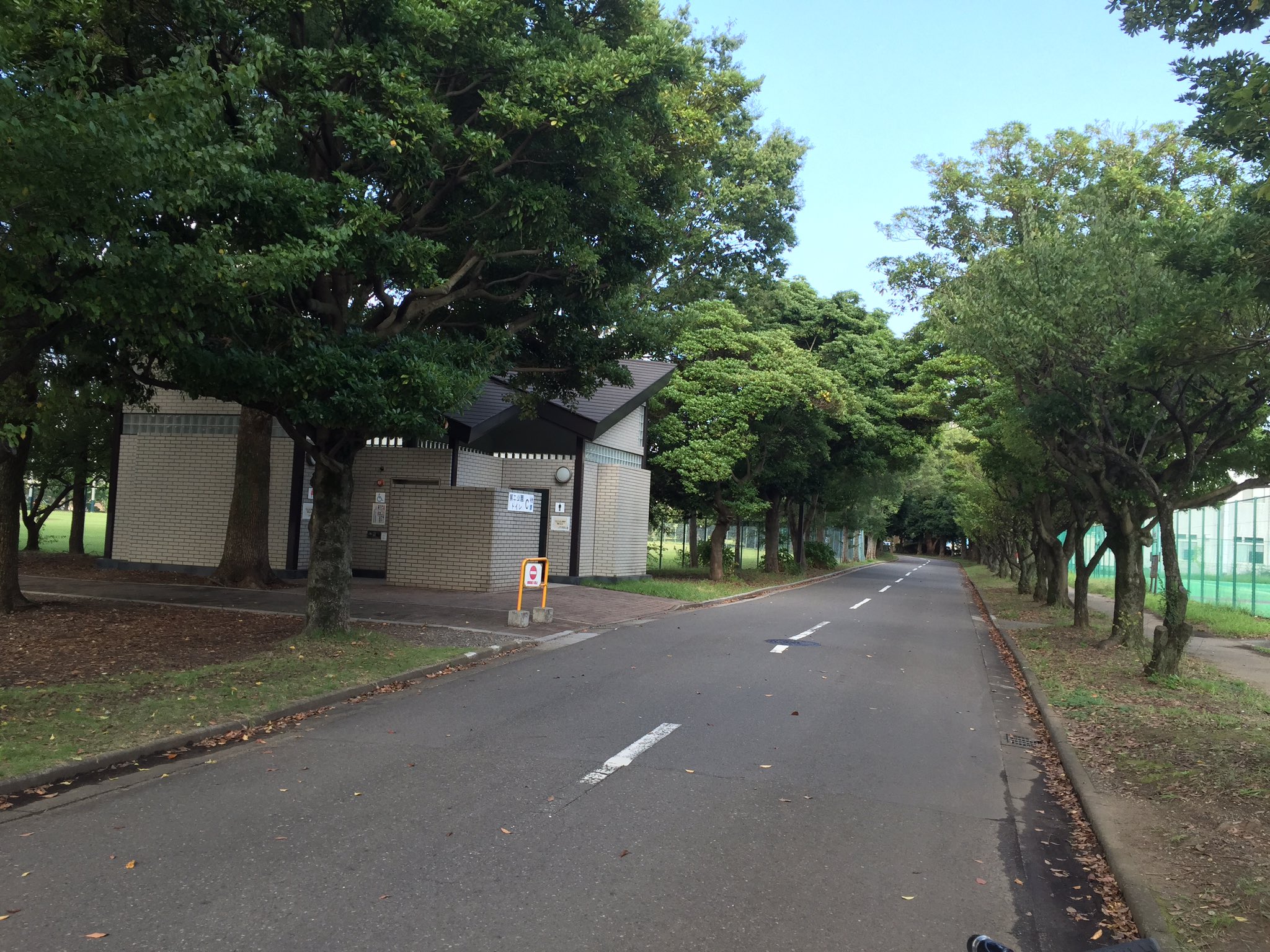 ポケモンgo 大宮公園情報 Omiyapark Poke Twitter
