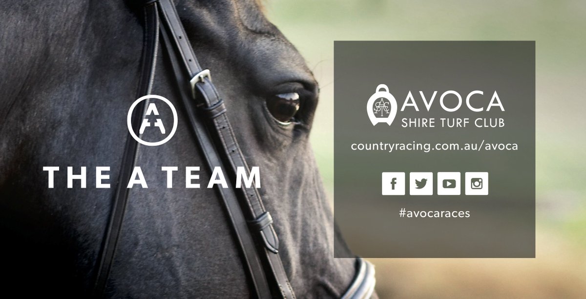 avocaraces's tweet photo. Loving the artwork of our new A TEAM Member Stubby Cooler. Find out more at https://t.co/99DY7sYh6F https://t.co/C6CQ1SJ1yZ