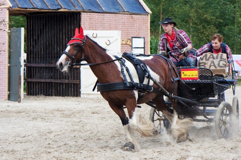 TipEastermar's tweet photo. As zaterdag 18e Eastermarder Paardenspektakel (EPS):
https://t.co/3B5AhuVvaM
#marruters #Eastermar https://t.co/cp7io6EICd
