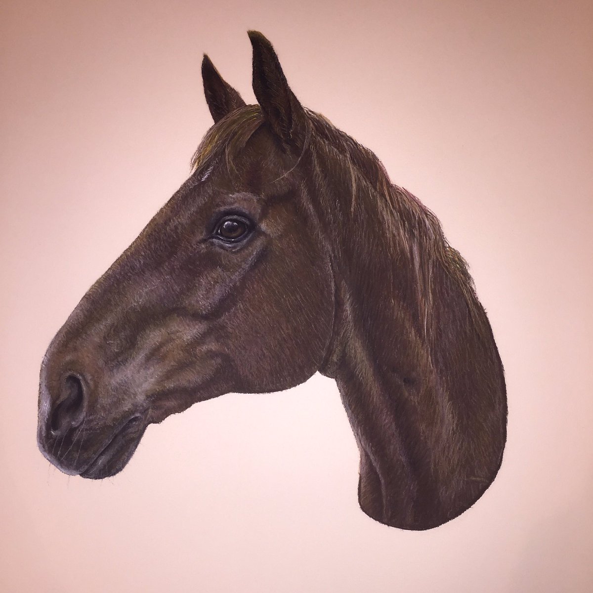 Rachael White tweet media