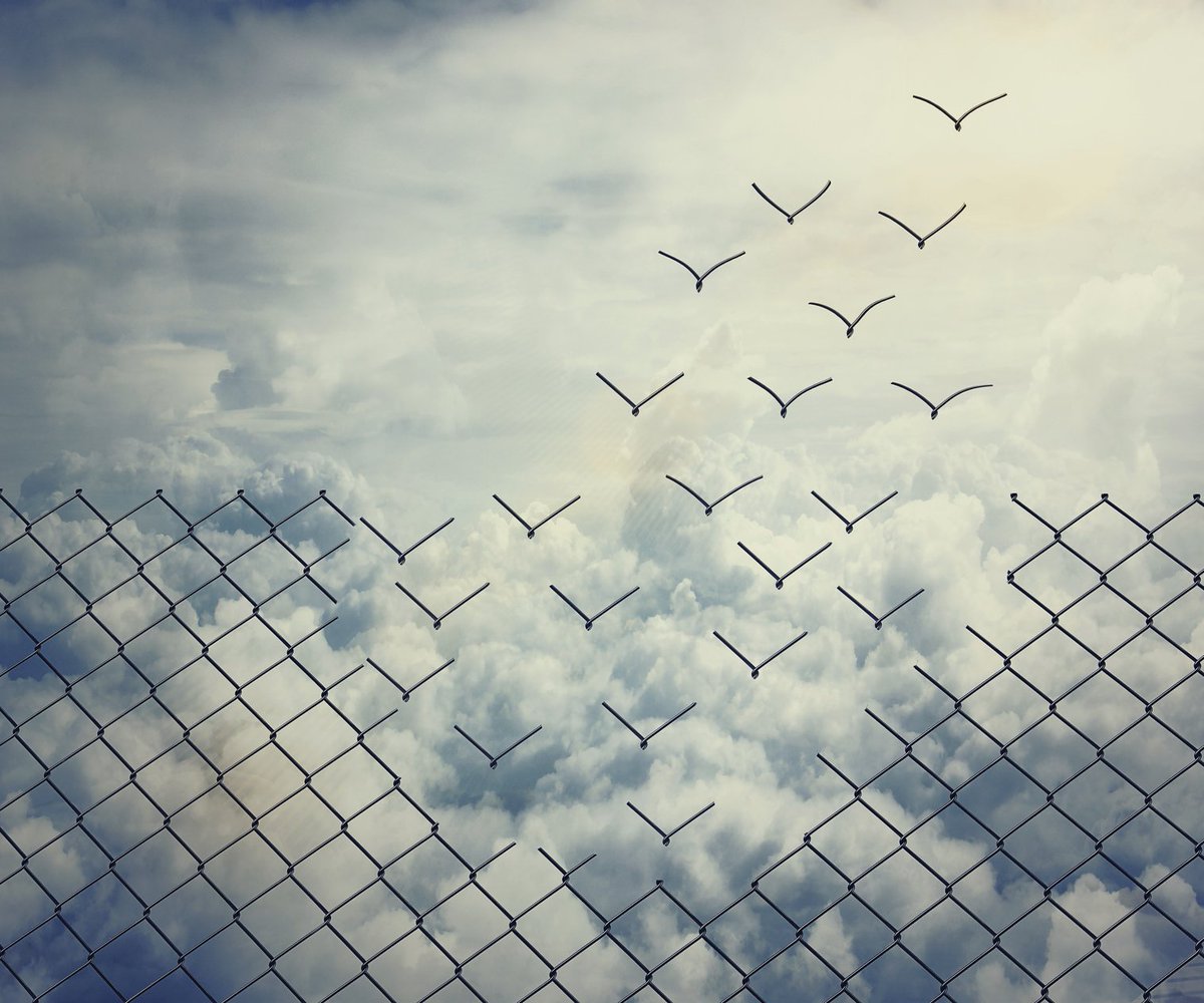 IDNGlobal's tweet photo. Call For Presentations: Freedom: At what Cost and to Whom?, 7-9 April 2017, Lisbon, Portugal
https://t.co/SEs25MA8RF https://t.co/F0hNE53ZNX