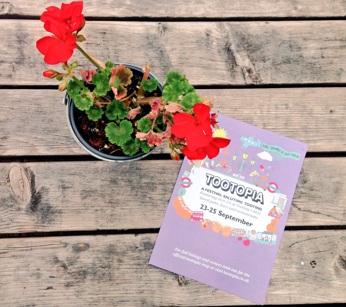 Tootopia's tweet photo. Flyers means we're officially nearing the two week countdown... ๐ฑ๐ #Tootopia16 https://t.co/G8E9g44vtG