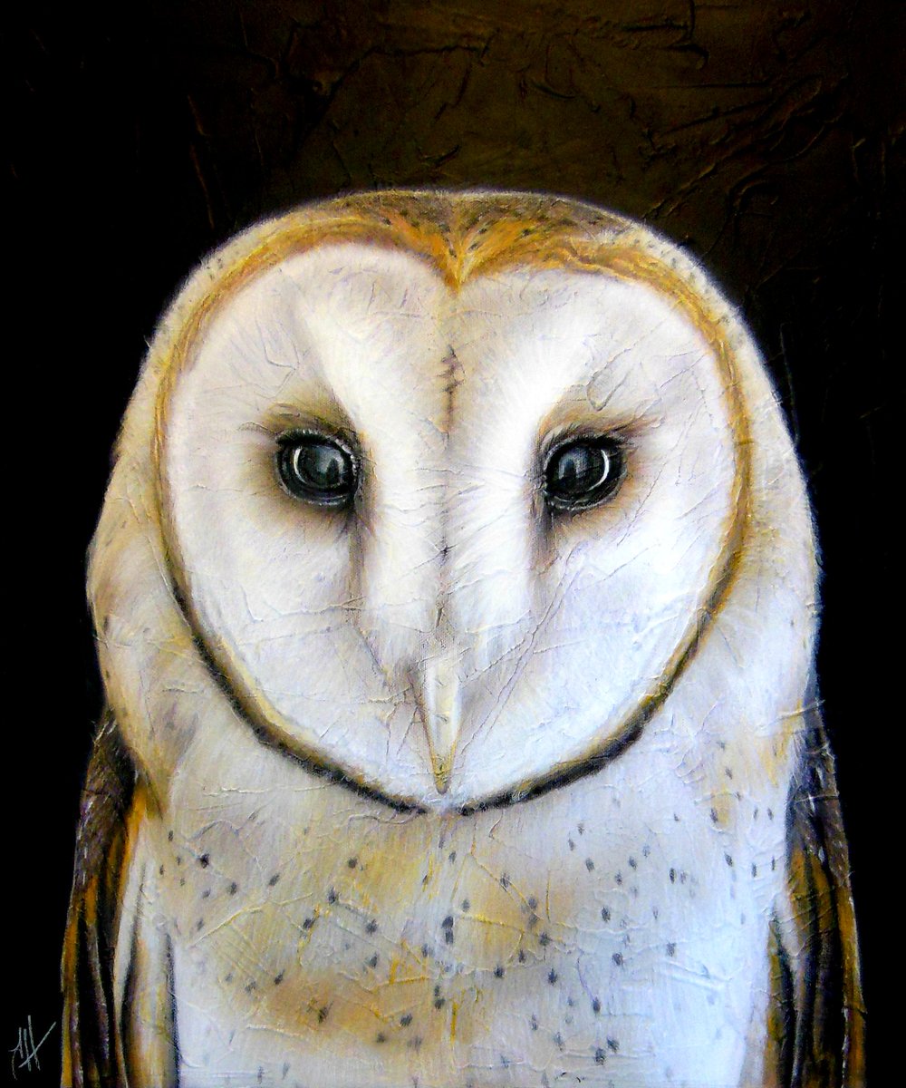 JustinHouseArt's tweet photo. I'm always working on animal artwork! Most recently the barn #owl. Acrylic paint on 18x24" canvas! DM for info #owls https://t.co/OrVDJvujQc