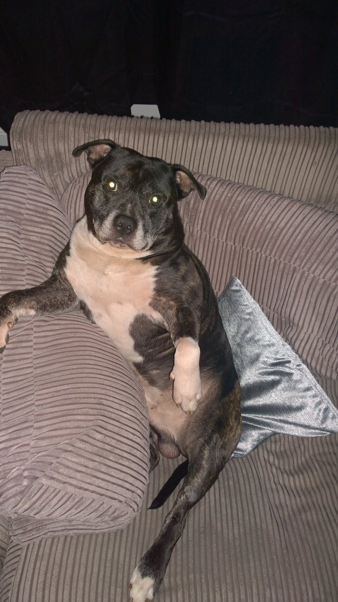 Alfie chilling <a href="/thismorning/">This Morning</a>