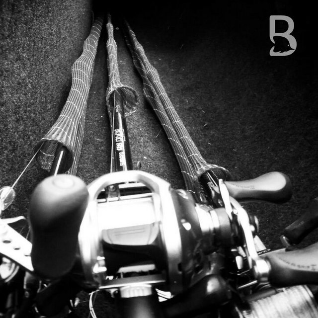 BoxfishZA tweet picture