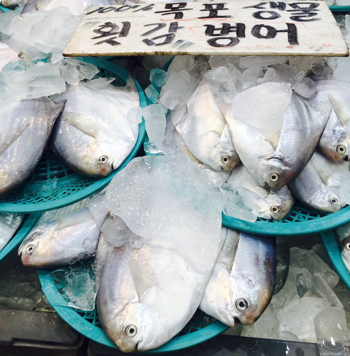 iyoritter's tweet photo. 생선의 오고감을 시장에서 볼때면 계절의 오고감에도 감이 온다
#harvest fishes #pomfrets
#병어 #Korean #market #ordinary #life #요리터 #yoritter https://t.co/Q6LLJpn4XO