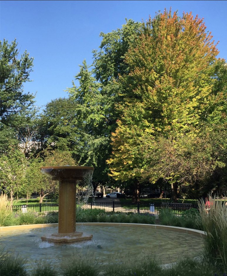 The first touch of Fall in the trees