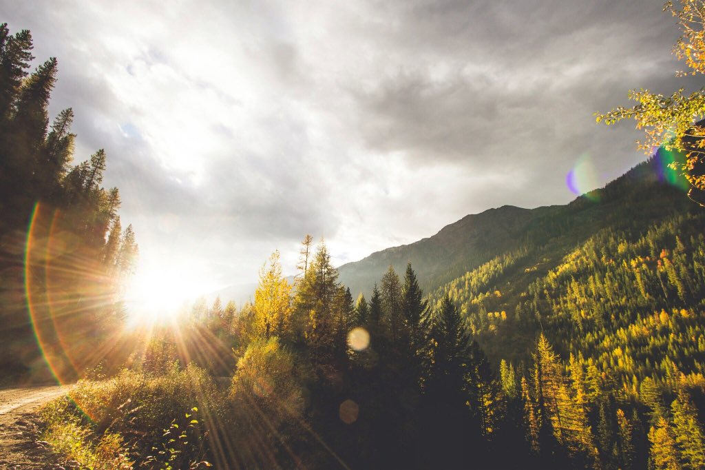 ktnylifecycle's tweet image. Hello September ☀️🍂 Time for new beginnings and we are opening up just in time to help you with that! #KTNYlifecycle