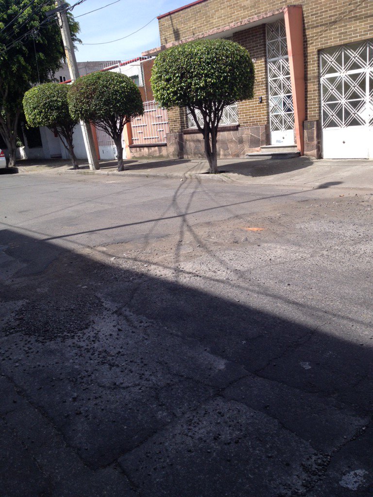 COLONIA CLAVERIA tweet media