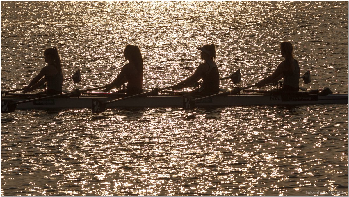 Rode Kruis Rotterdam - 010 2060622 (@rodekruisrdam) on Twitter photo #TBT 2000 sporters vertrouwden op Rode Kruis tijdens <a href="/Rowing2016/">World Rowing 2016</a> rodekruis.nl/afdeling/rotte… #TBT 2000 sporters vertrouwden op Rode Kruis tijdens <a href="/Rowing2016/">World Rowing 2016</a> rodekruis.nl/afdeling/rotte…