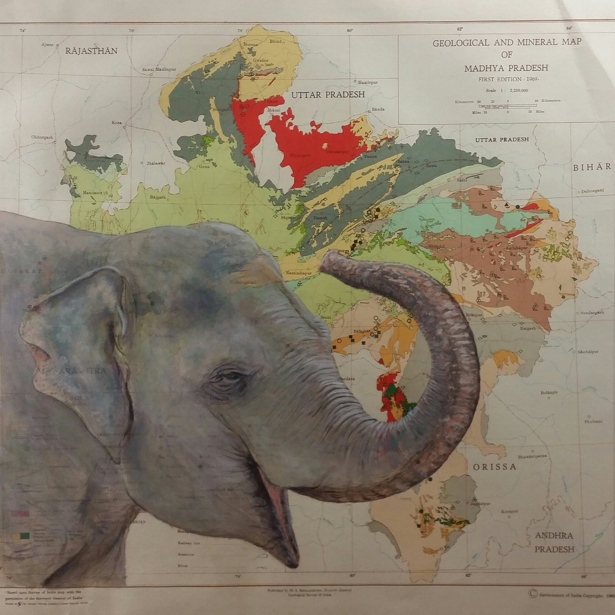 garethwildart's tweet photo. My latest#artwork is a beautiful #Indian #elephant, the collection of #animaps is slowly growing :) #wildlife #art https://t.co/7ZN8XoDiOM